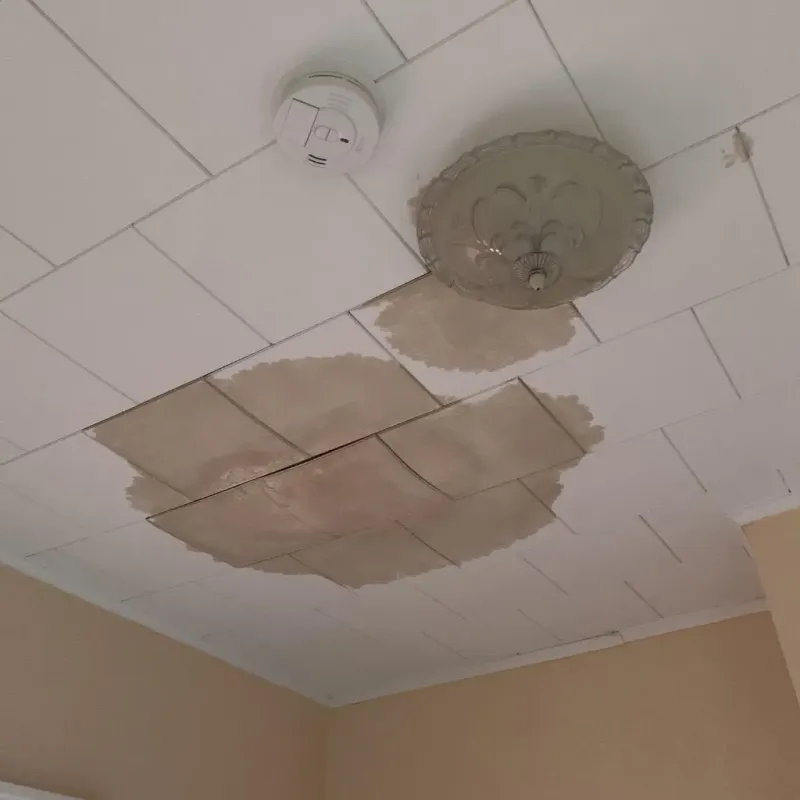 Ceiling Water Damage Repair in Palm Beach Gardens, FL
